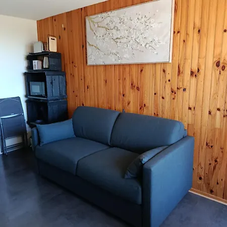 Situe En Plein Centre A Deux Pas Des Pistes. Besse-et-Saint-Anastaise